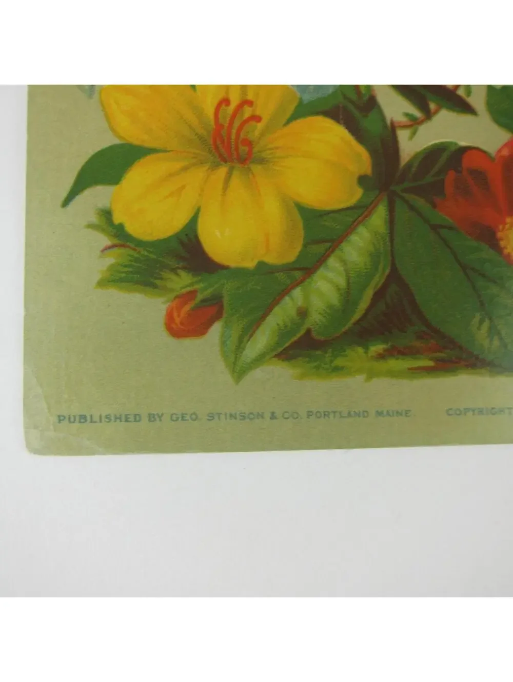 Victorian Greeting Card LARGE Flowers Red Yellow Blue Pink Antique 1881